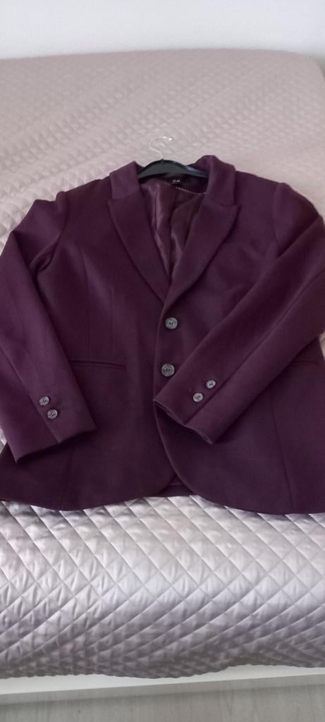 H&M Colbert  cerise kleur mooi maat 46, Ophalen of Verzenden, Zo goed als nieuw, Maat 46/48 (XL) of groter, Blauw