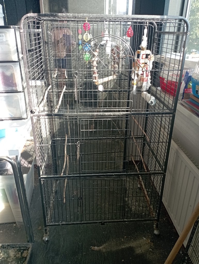 vogelkooi, Ophalen, Gebruikt, Metaal, Vogelkooi