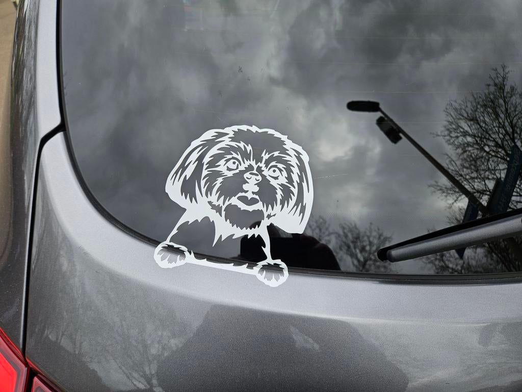 Autoraam sticker - Hond, Ophalen of Verzenden