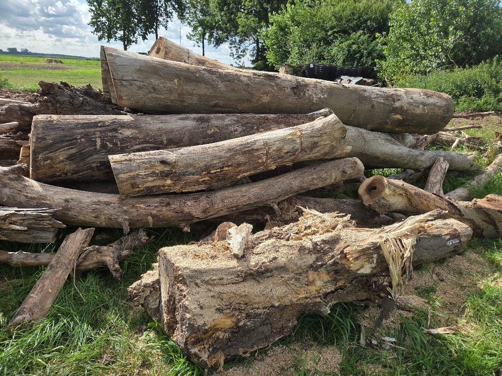 Gratis haardhout stookhout Kachelhout hout, Tuin en Terras, Haardhout, 6 m³ of meer, Ophalen, Overige houtsoorten, Stammen
