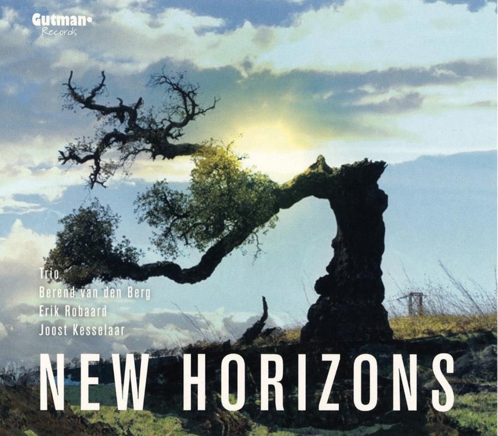 Trio berend van den berg - new horizons cd 8718868154323, Verzenden, 1980 tot heden, Zo goed als nieuw, Jazz