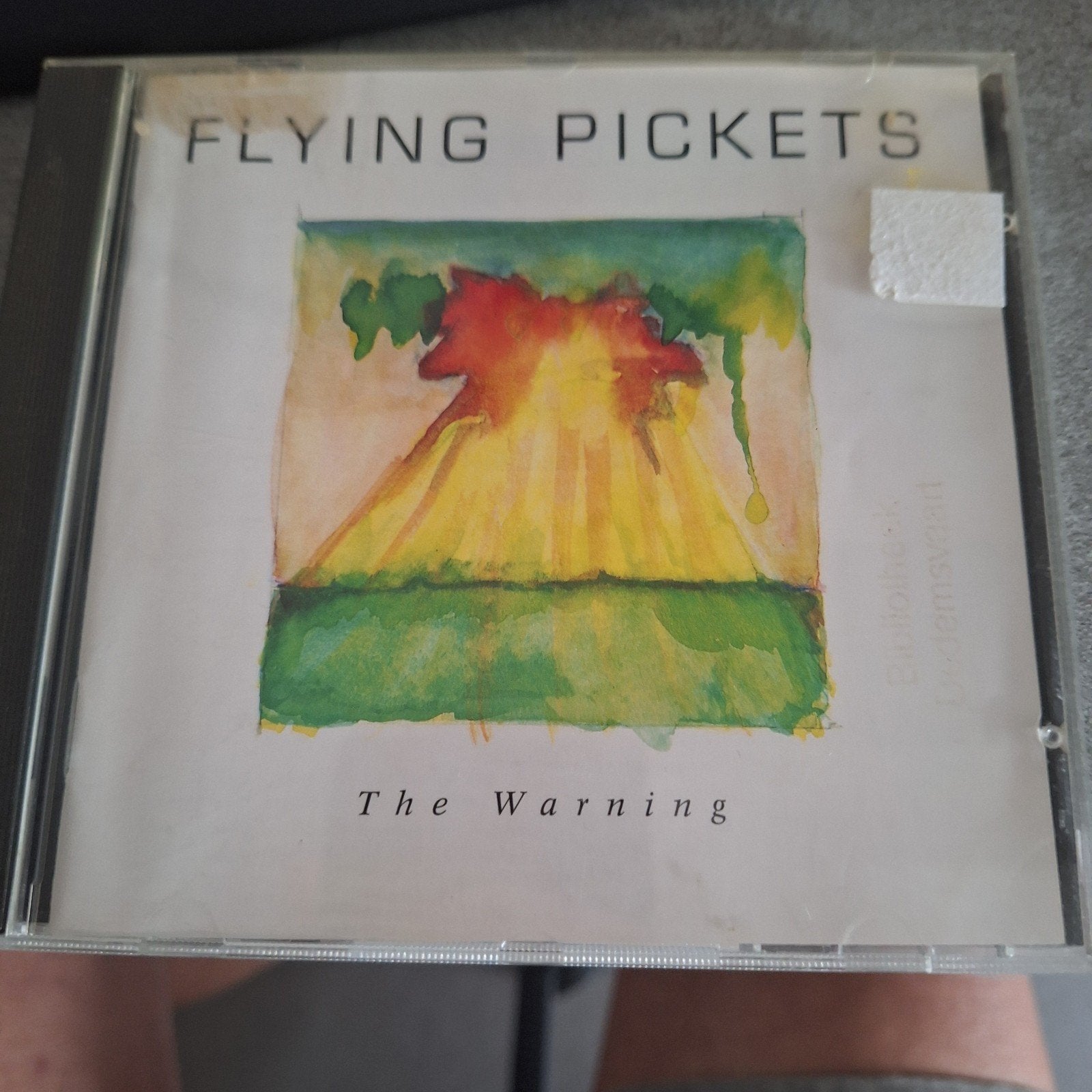 Flying Pickets - The Warning CD (1992), Gebruikt, Pop, Inclusief doosje, Ophalen of Verzenden