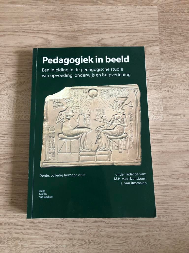 Pedagogiek in beeld - Inleiding pedagogische studie, Boeken, Ophalen of Verzenden, Gamma, Zo goed als nieuw, HBO