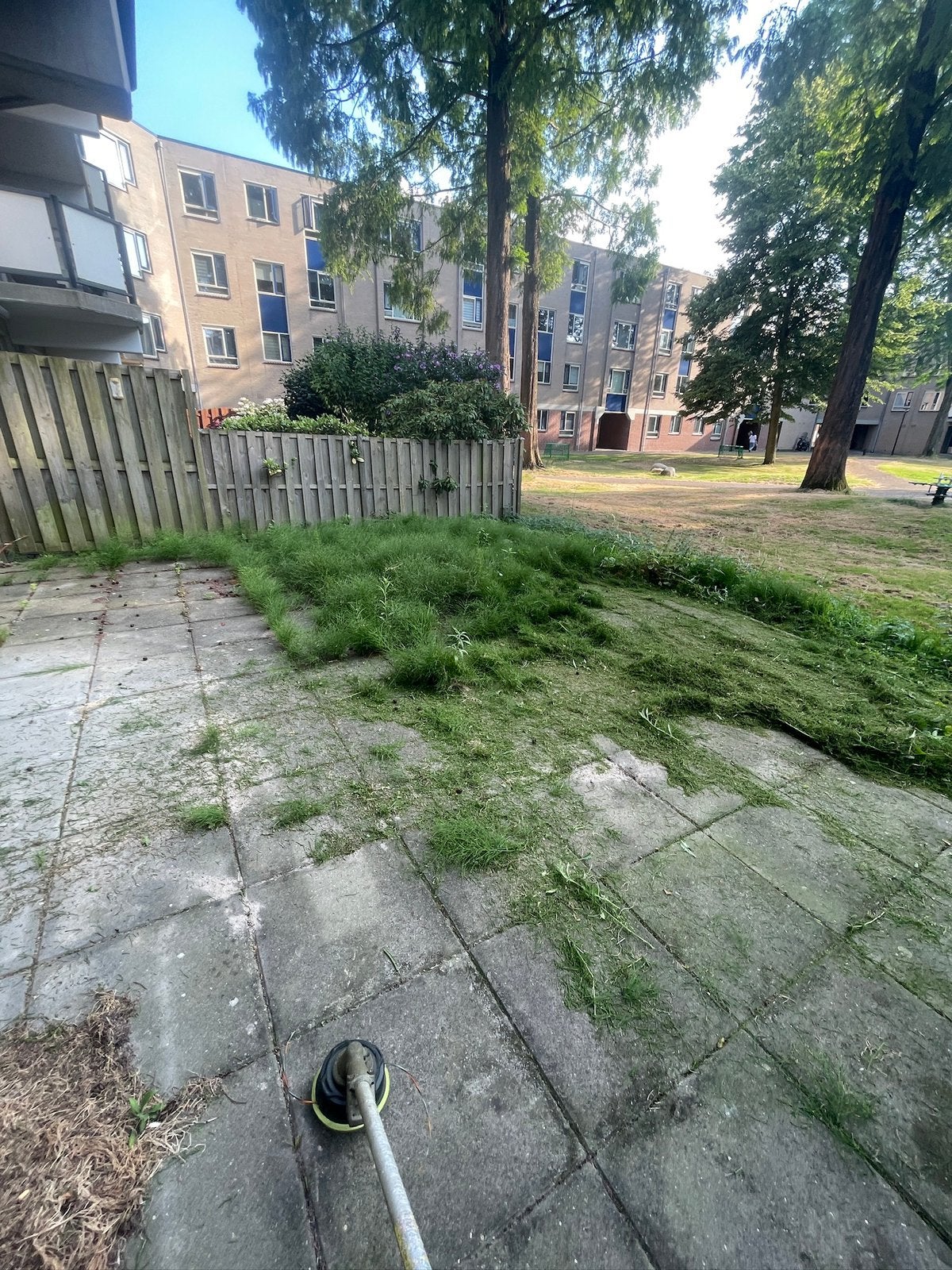 Tuinman beschikbaar, Tuinonderhoud of Snoeiwerk