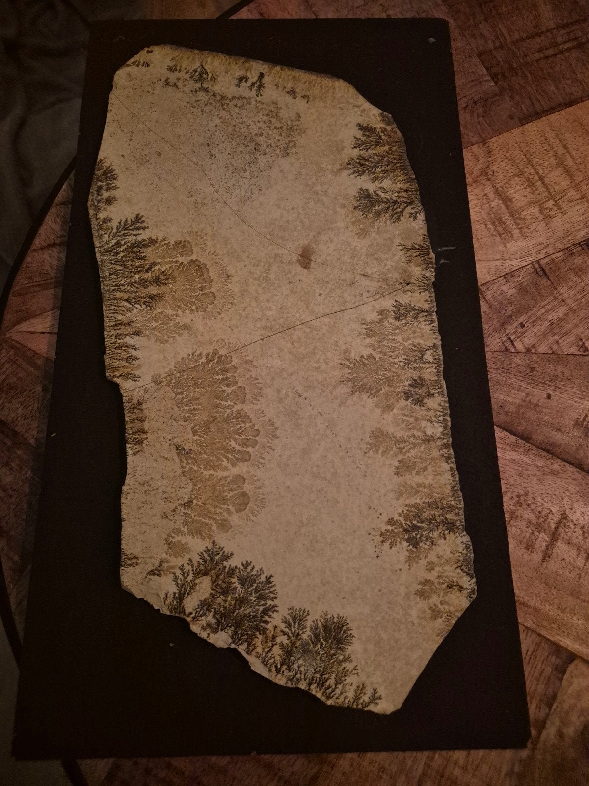 Dendriet Steen - 150 miljoen jaar oud natuurkunstwerk, Verzamelen, Ophalen of Verzenden, Mineraal