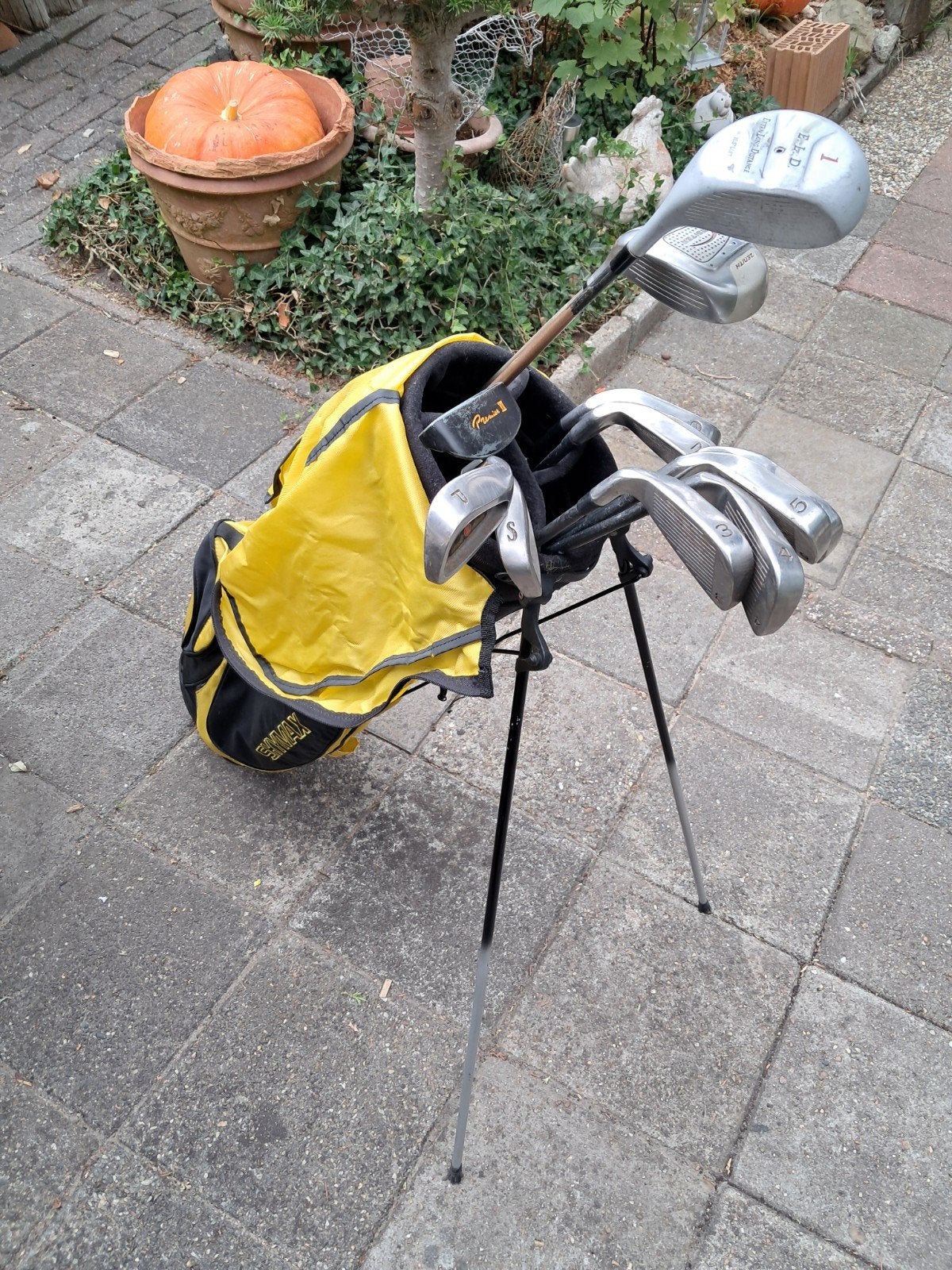 Complete Golfset Arnold Palmer Lady's, Sport en Fitness, Golf, Ophalen, Zo goed als nieuw, Set