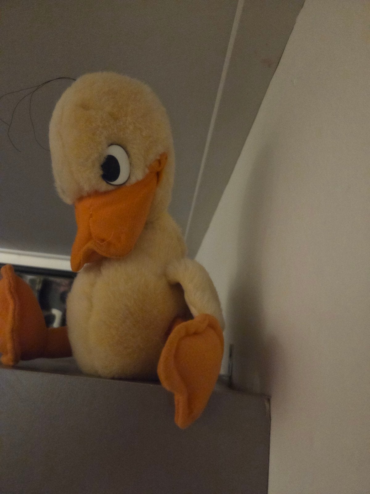 Knuffel Alfred J. Kwak, Kinderen en Baby's, Speelgoed | Knuffels en Pluche, Gebruikt, Overige merken, Ophalen of Verzenden, Middelgroot (20 tot 80 cm)