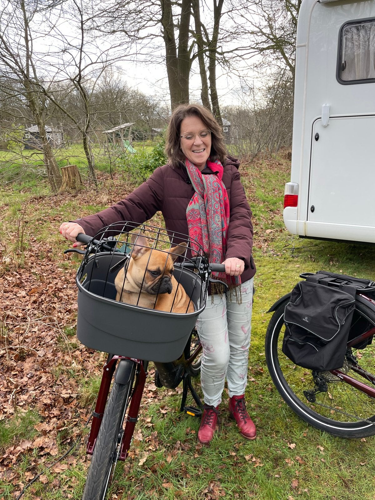 Trixie fietsmand/bak voorop - kleine honden tot 10 kg, Ophalen, Zo goed als nieuw