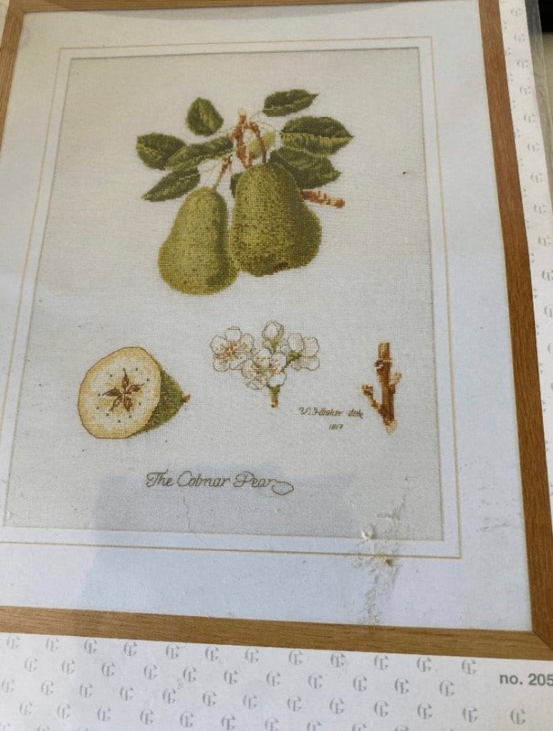 BORDUURPAKKET THEA GOUVERNEUR PEER, Verzenden, Nieuw, Handborduren, Borduurpakket