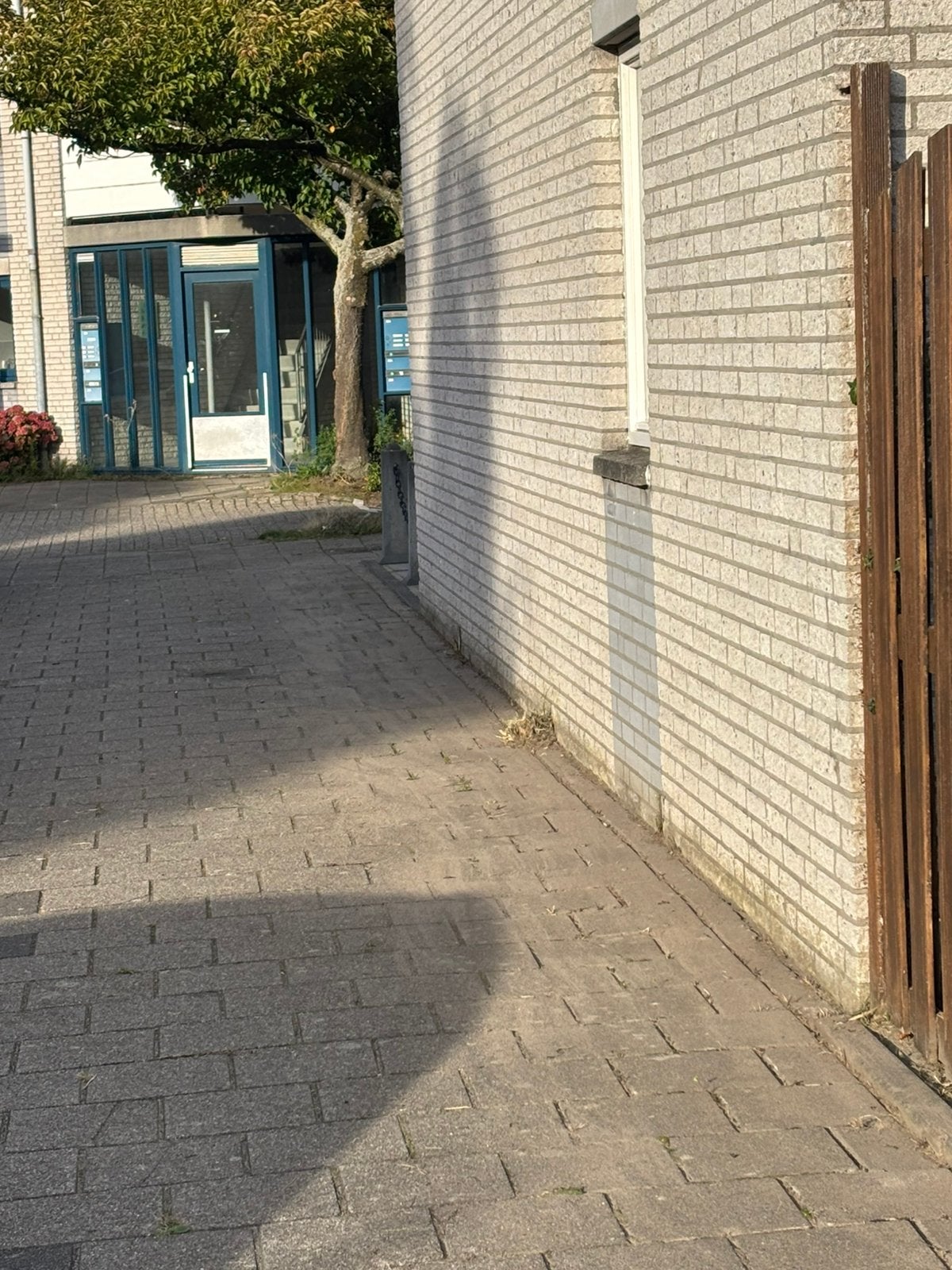 🌿 Onkruid verwijderen & snoeien – Tuin weer netjes!, Ophalen of Verzenden