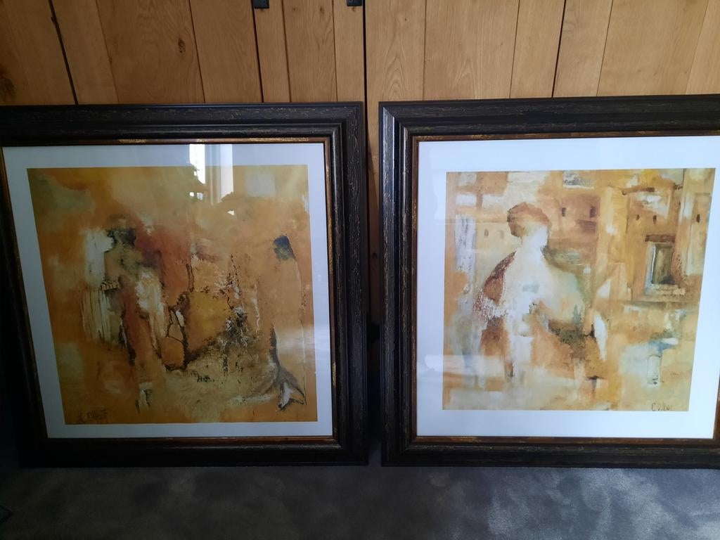 2x mooi ingelijst werk van Corry Olthof totaal incl lijsten, Antiek en Kunst, Kunst | Schilderijen | Klassiek, Ophalen