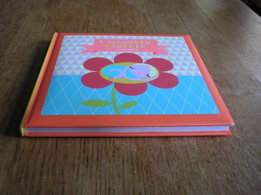 9 maanden boek, invulboek, Ophalen of Verzenden, Nieuw, Zwangerschap en Bevalling