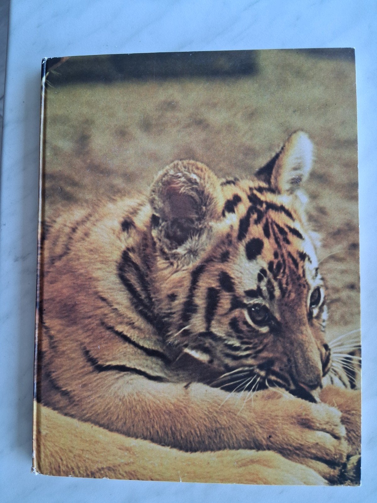 'n dierenpark in vogelvlucht , OUWEHANDS DIERENPARK, Ophalen of Verzenden, Zo goed als nieuw, Overige diersoorten, J. Baars