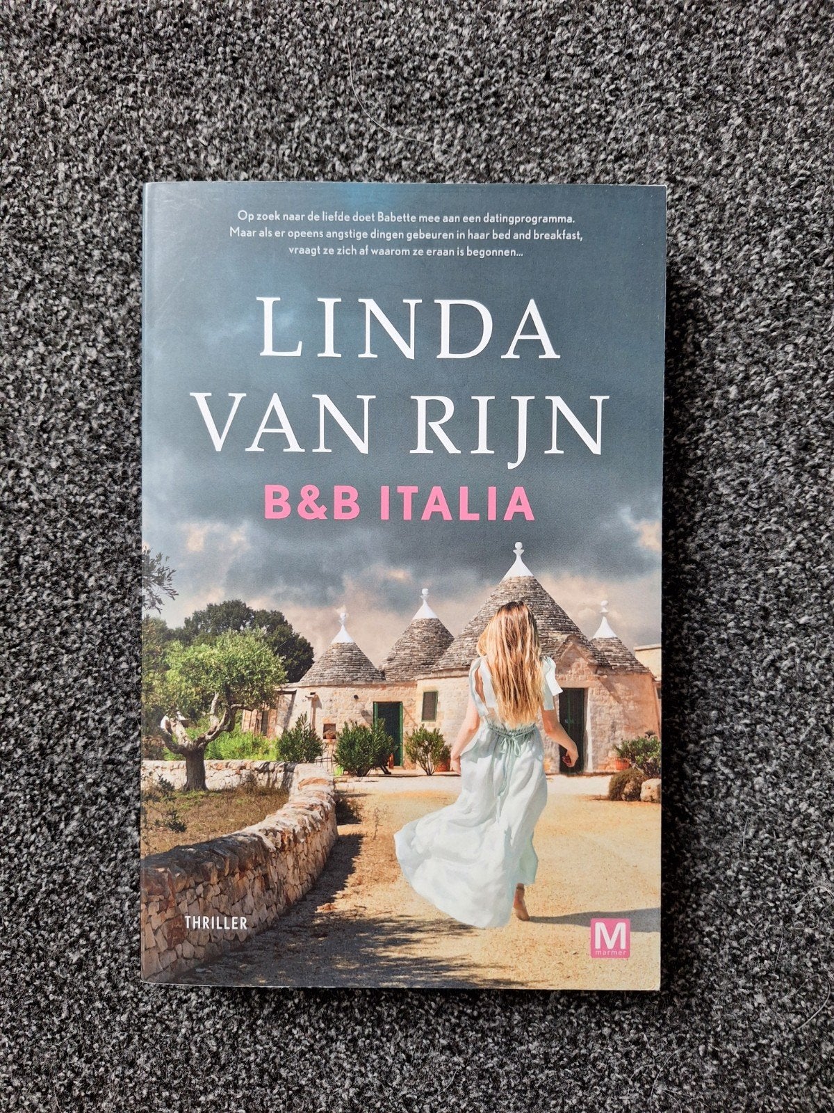 Linda van Rijn - B&B Italia (Thriller), Linda van Rijn, Ophalen of Verzenden, Zo goed als nieuw, Nederland