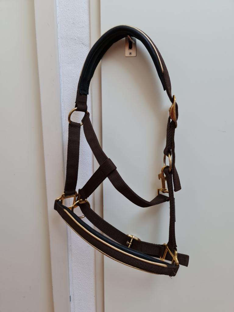 Halster pony paard Global Wide Equestrian Products , Ophalen, Gebruikt, Recreatie