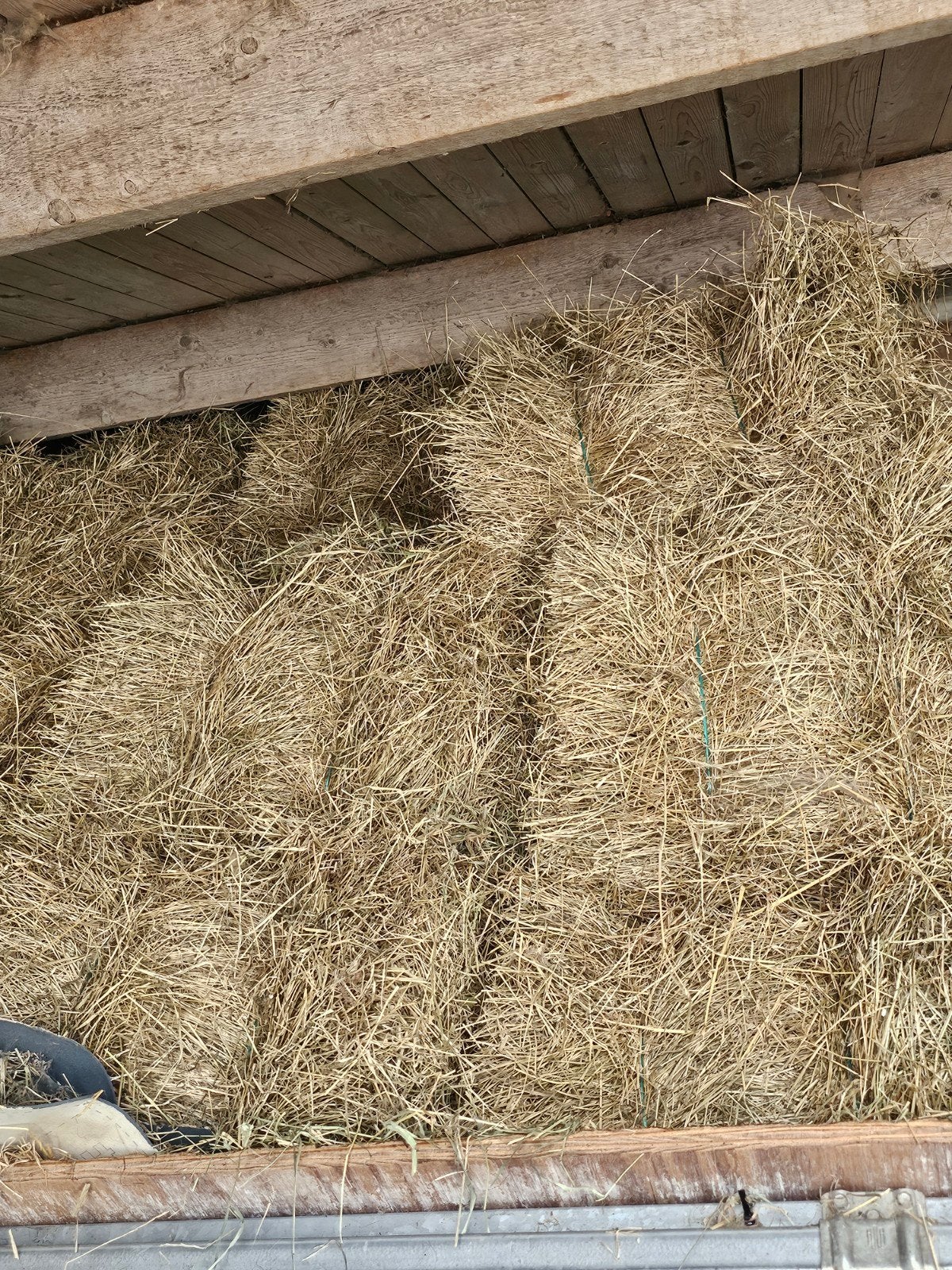 graszaadhooi te koop, Ophalen of Verzenden, Vee