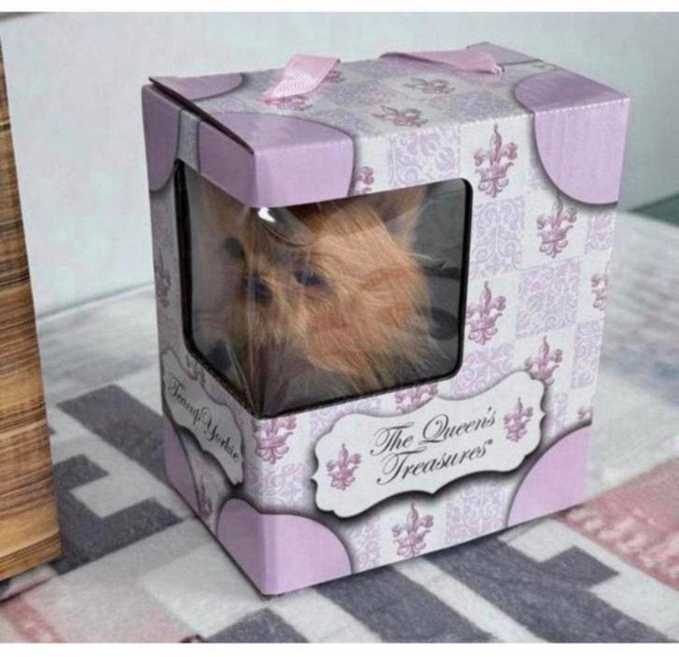 3X The Queen's Treasures Adopt Me hond kat poppen - Queens, Verzamelen, Nieuw, Ophalen of Verzenden, H, H