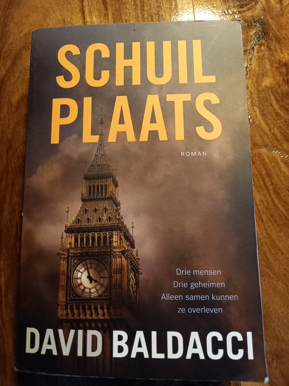 Schuilplaats - David Baldacci (Roman), Boeken, Romans, Ophalen of Verzenden, Zo goed als nieuw, David Baldacci, Nederland