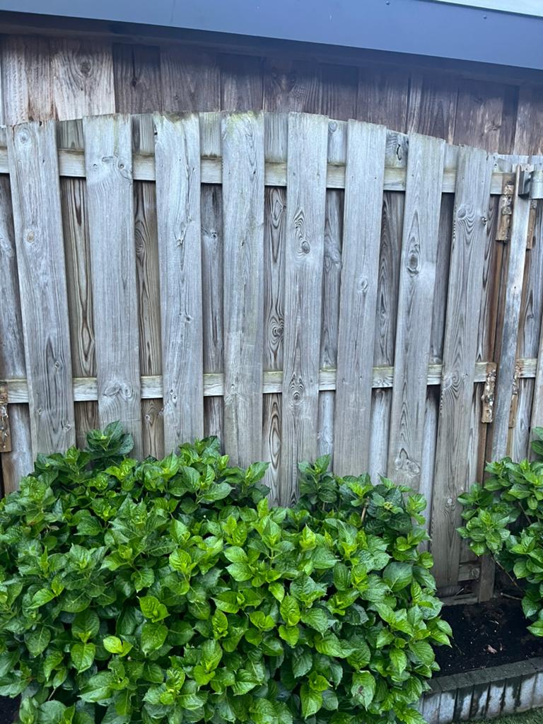 “Brandhout” Gratis af te halen 12 tuinschermen schuttingen, Ophalen, 6 meter of meer, Hout, 1 tot 2 meter