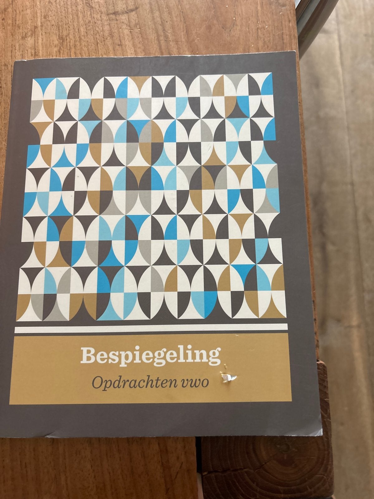 Bespiegeling Opdrachten vwo - Staal & Roeland, Ophalen of Verzenden, Alpha, Zo goed als nieuw, Overige niveaus