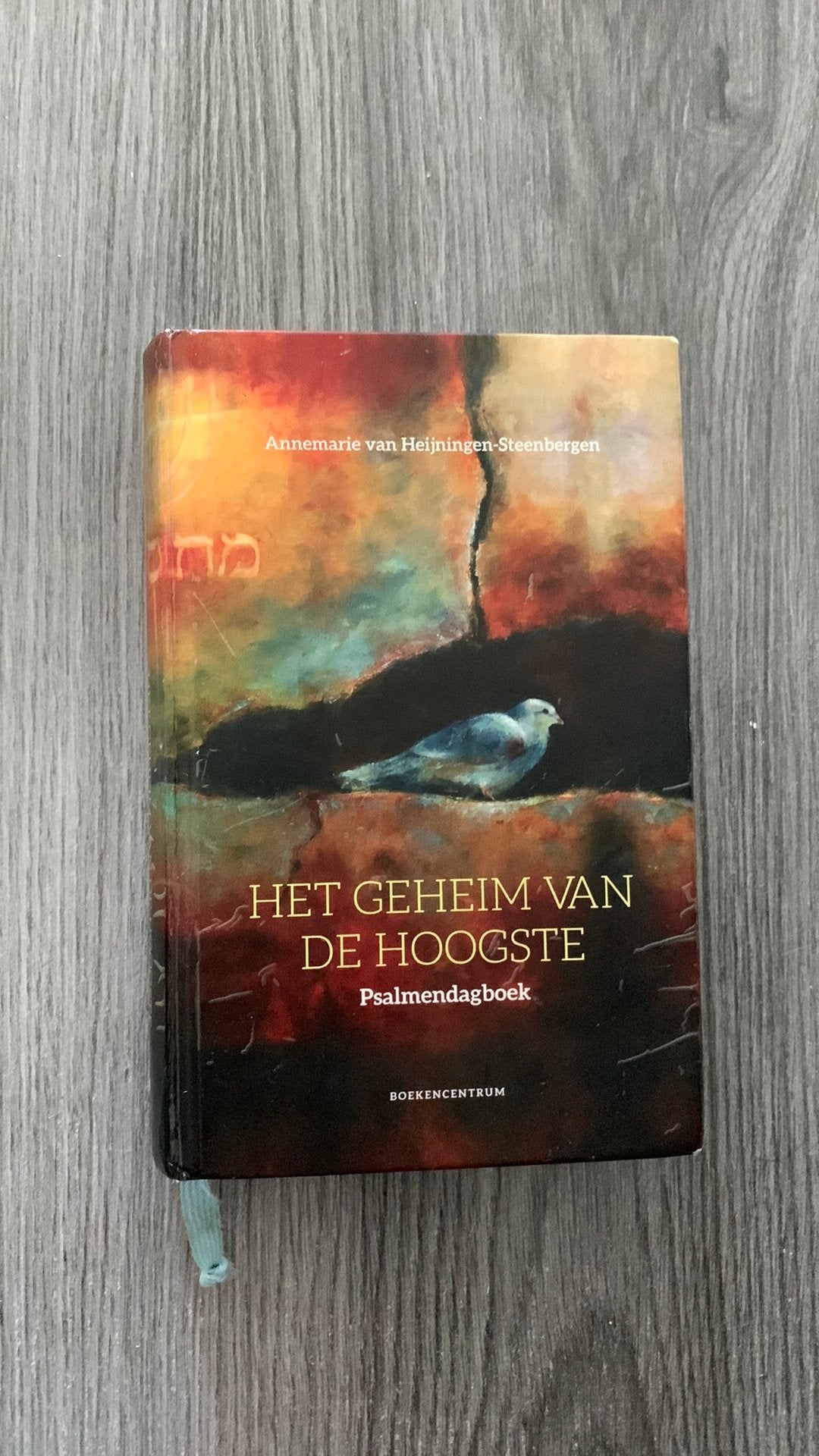 Het geheim van de hoogste, Ophalen of Verzenden, Gelezen, Annemarie van Heijningen-Steenbergen