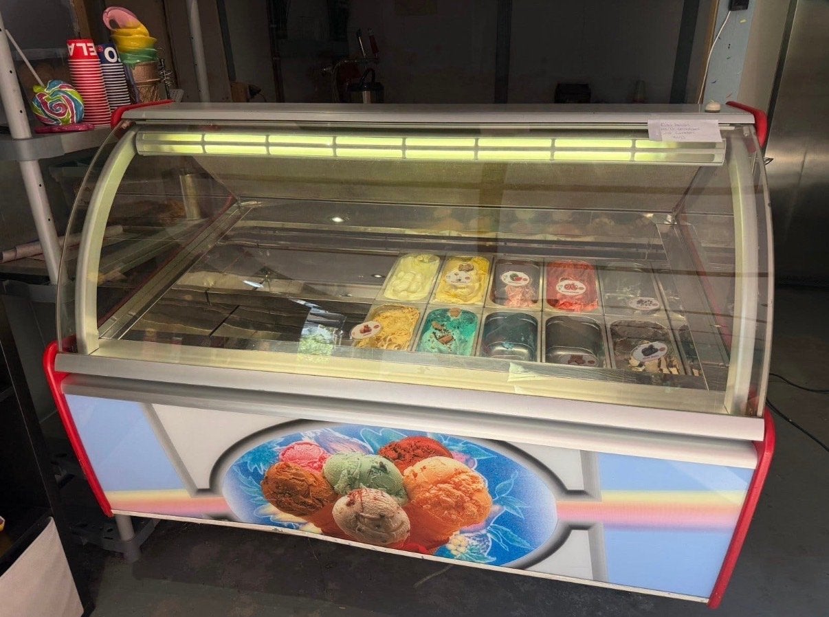 Professionele IJs Vitrine - Perfect voor uw ijssalon, Ophalen of Verzenden, Gebruikt