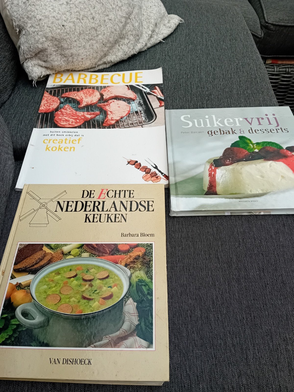 Kookboeken: Nederlandse keuken, suikervrij gebak & barbecue, Boeken, Gelezen, Hoofdgerechten, Barbara Bloem, Peter Balcaen, Rebo International