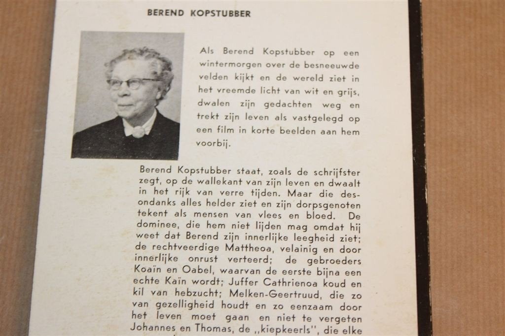 Berend Kopstubber — Sien Jensema, Groninger Streekroman, Ophalen of Verzenden, Gelezen