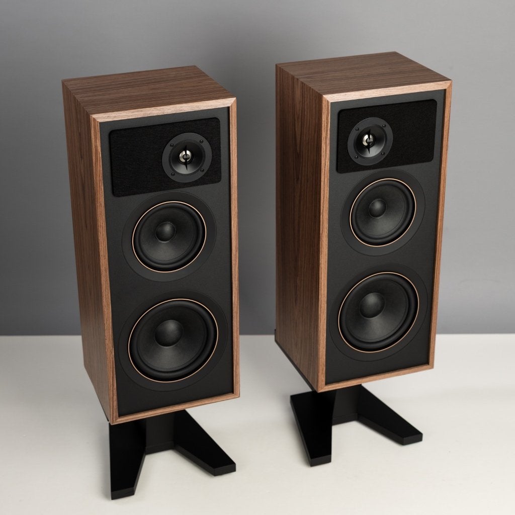 PSB Passif 50, Audio, Tv en Foto, Vloerstaande luidspreker, Zo goed als nieuw, Minder dan 60 watt, Ophalen