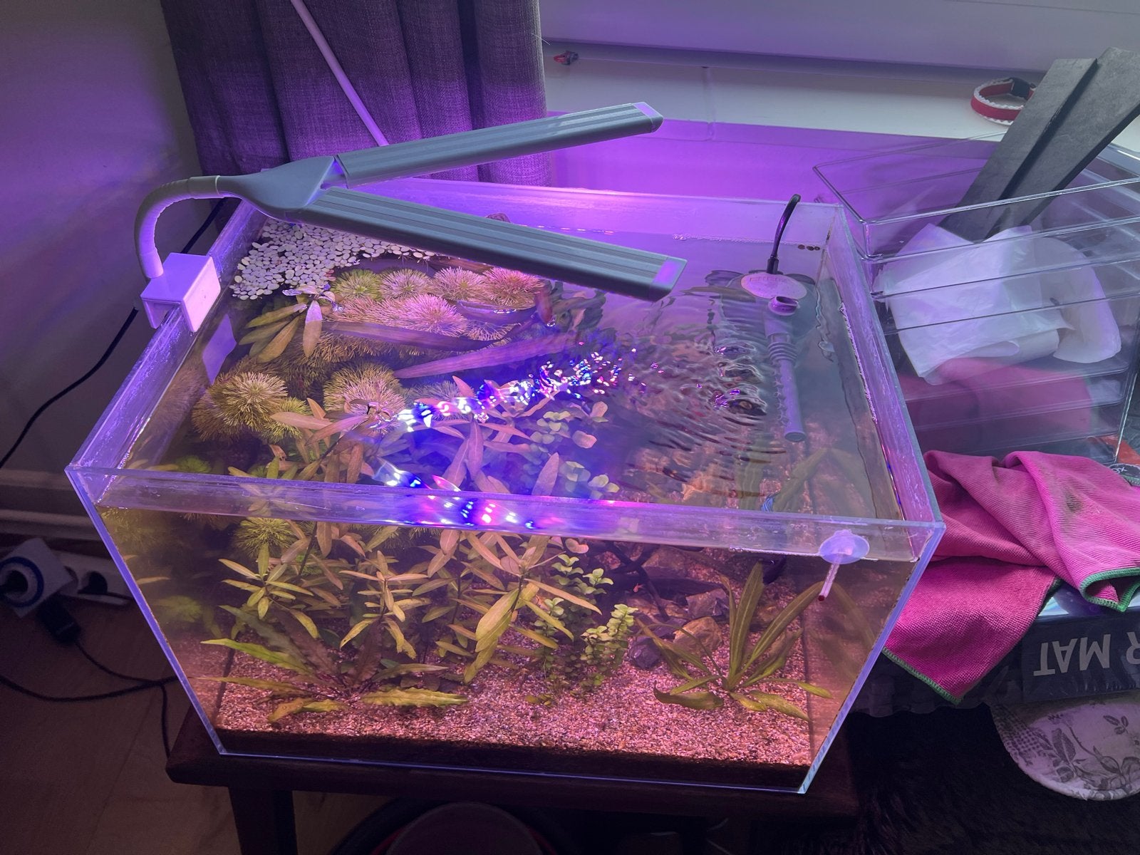 Scaper 45, Ophalen, Gevuld zoetwateraquarium, Superfish, Inclusief vissen
