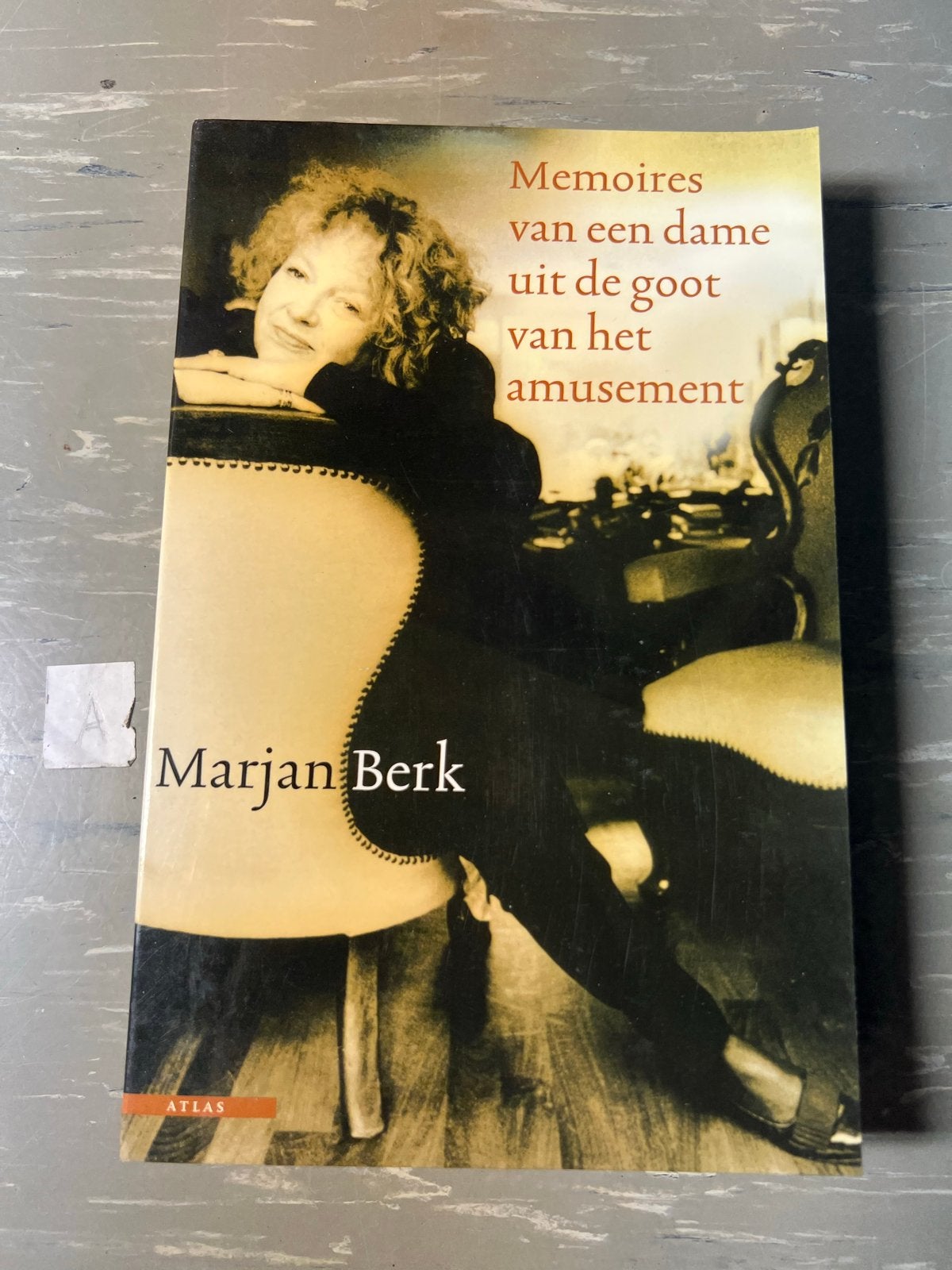Memoires van een dame uit de goot van het amusement, Ophalen of Verzenden, Gelezen, Film, Tv en Media