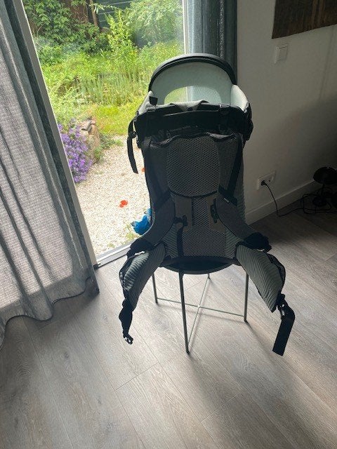 Thule sapling kinderdrager, Gebruikt, Overige typen, Rug, Ophalen