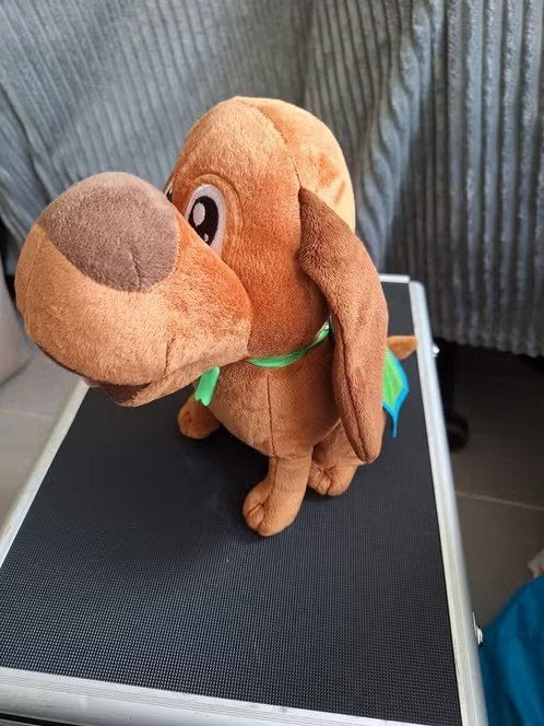 Knuffel hond met groene cape h, Overige merken, Onbekend, Zo goed als nieuw, RCN vakantieparken