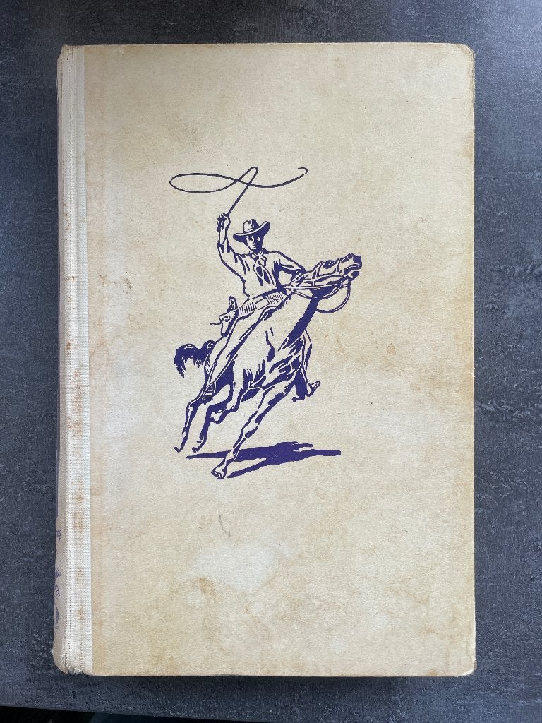 Arendsoog; De bende van de blauwe bergen van J. Nowee, Boeken, Ophalen, Gelezen, J. Nowee