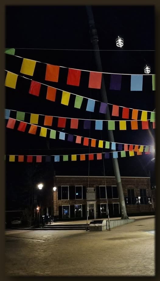 Stoffen vlaggenlijnen en wimpellijnen, Hobby en Vrije tijd, Feestartikelen, Ophalen of Verzenden, Nieuw, Versiering, Overige