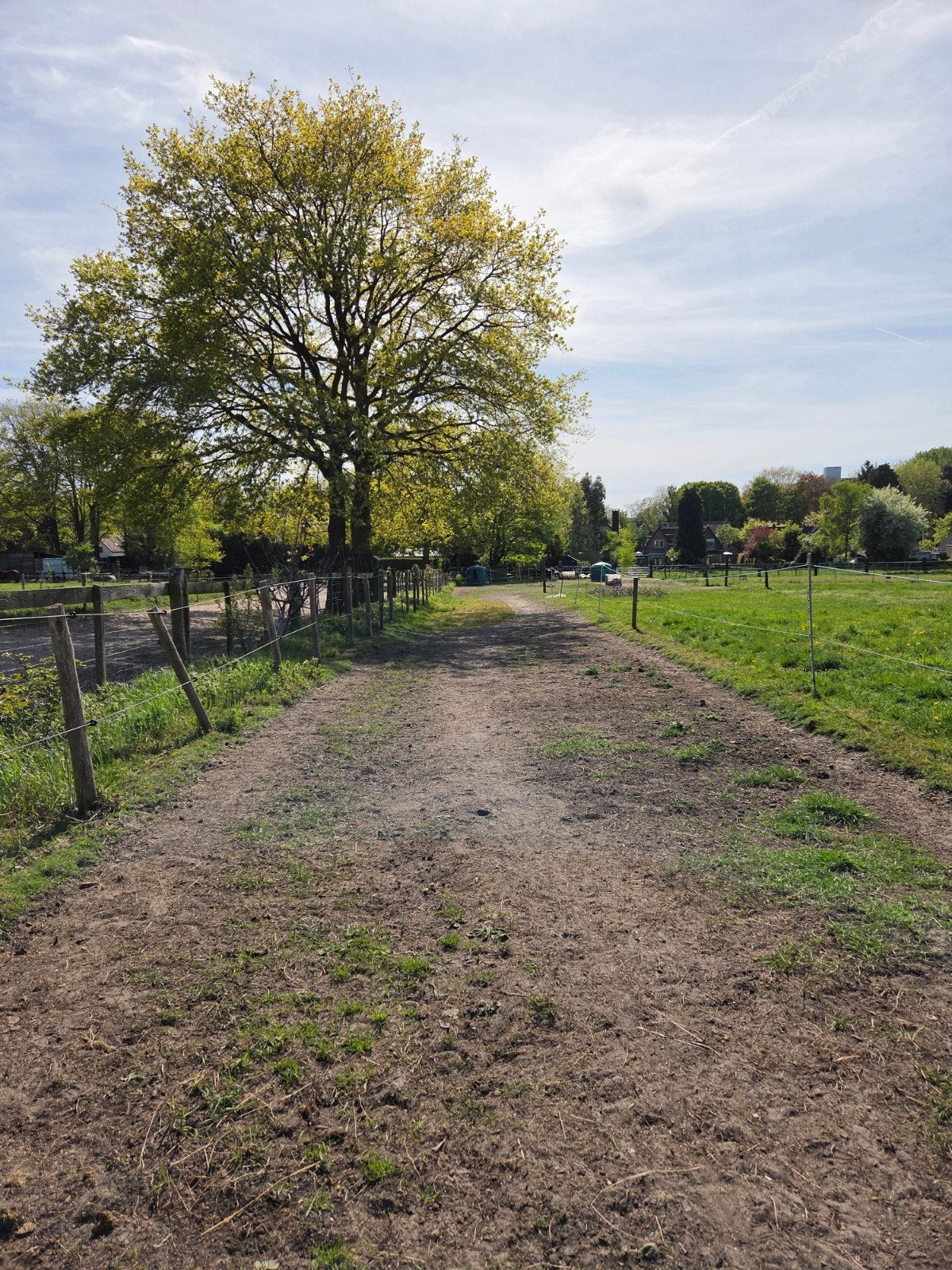Plekje vrij op doe-het-samen paddock paradise in Soest, 1 paard of pony