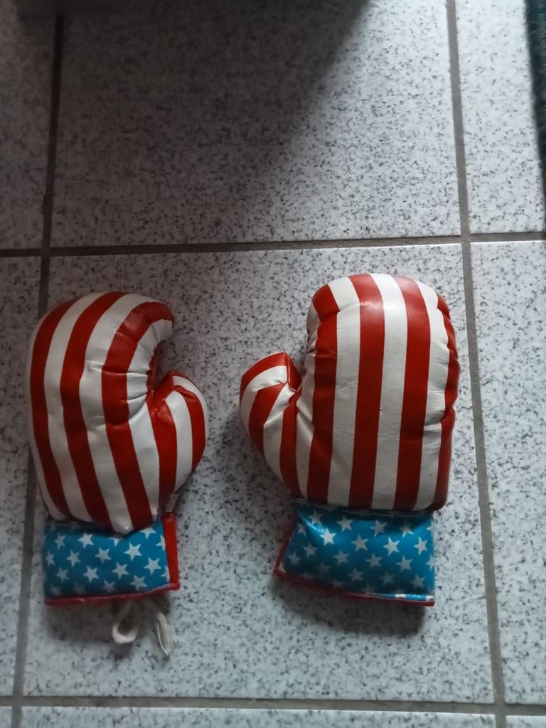 Boks Handschoenen USA Vlag, Ophalen of Verzenden, Bokshandschoenen