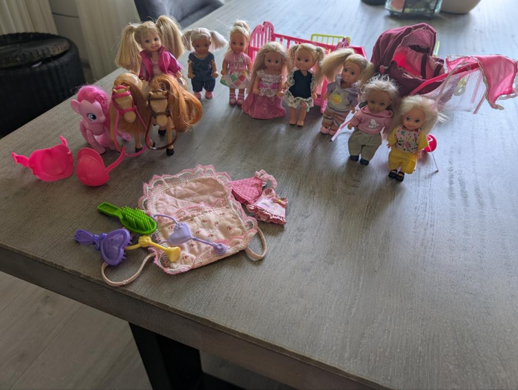 Shelly poppetjes, babypoppetjes, kinderwagen en accessoires, Ophalen, Gebruikt, Overige typen