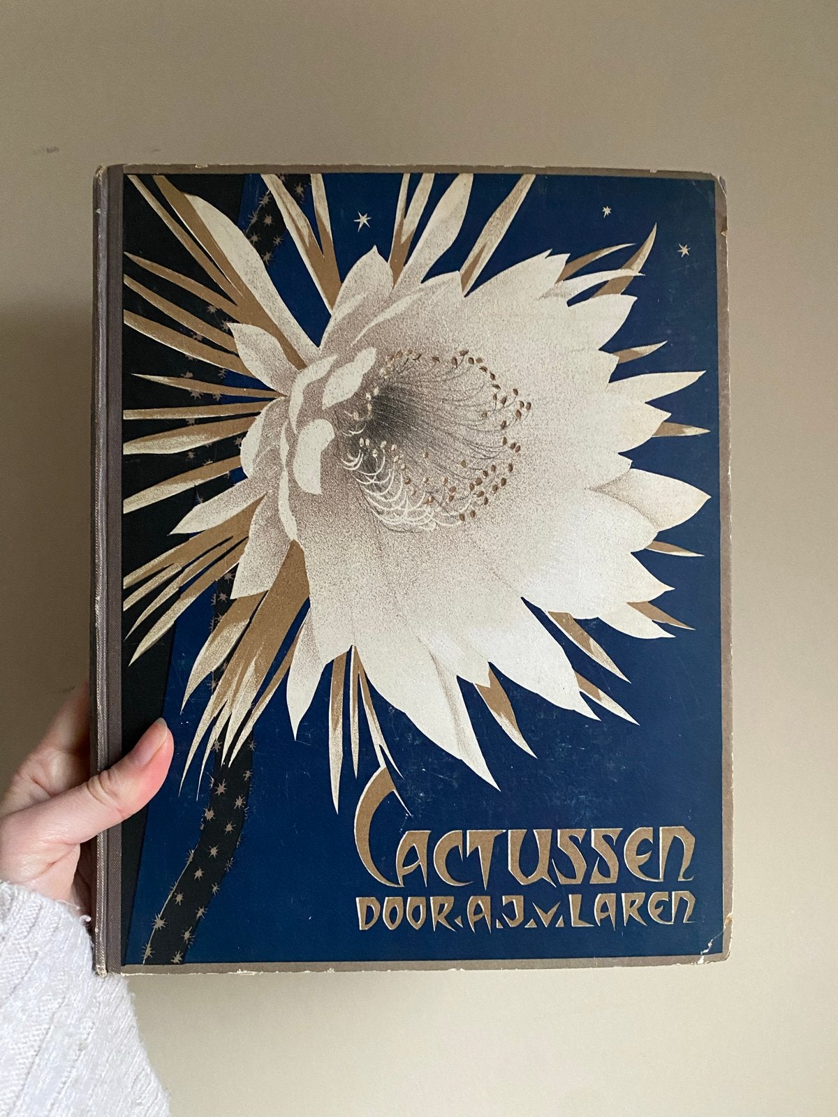 Vintage Verkade album plaatjes Cactussen 1931, Ophalen of Verzenden, Gelezen, Plaatjesalbum