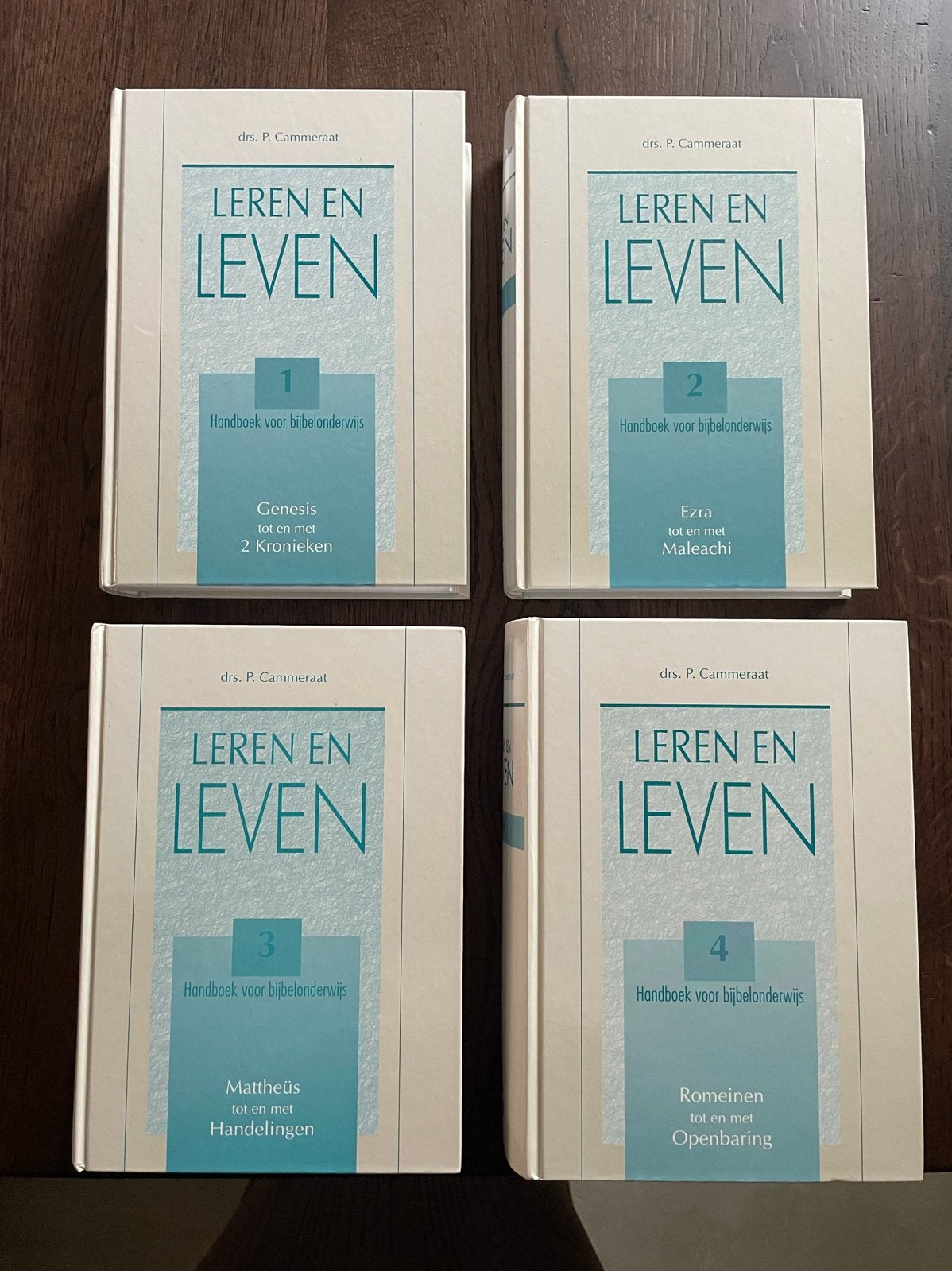 Leren en Leven - Handboek voor Bijbelonderwijs (4 delen), Ophalen of Verzenden, Zo goed als nieuw, Christendom | Protestants