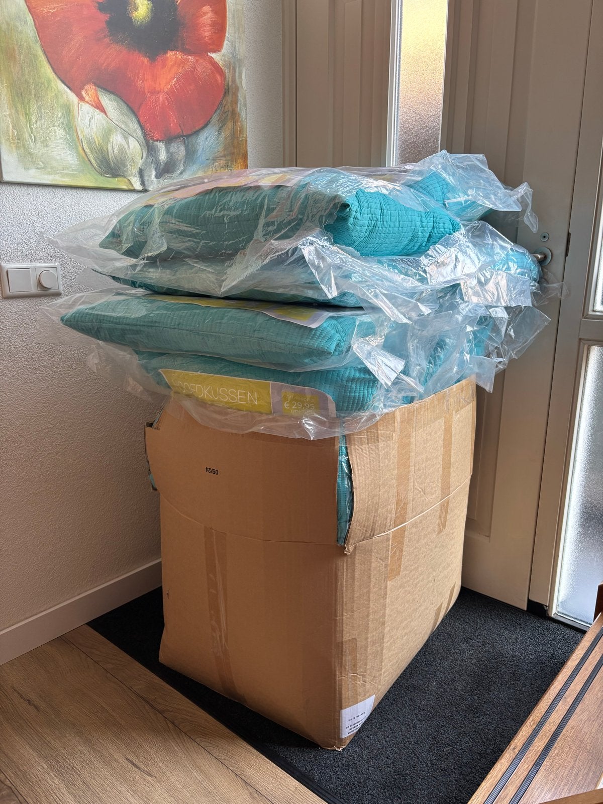 22 Nieuwe Hoofdkussens 100 euro totaal- Plain - Turquoise, Ophalen, Nieuw, Overige kleuren, Rechthoekig