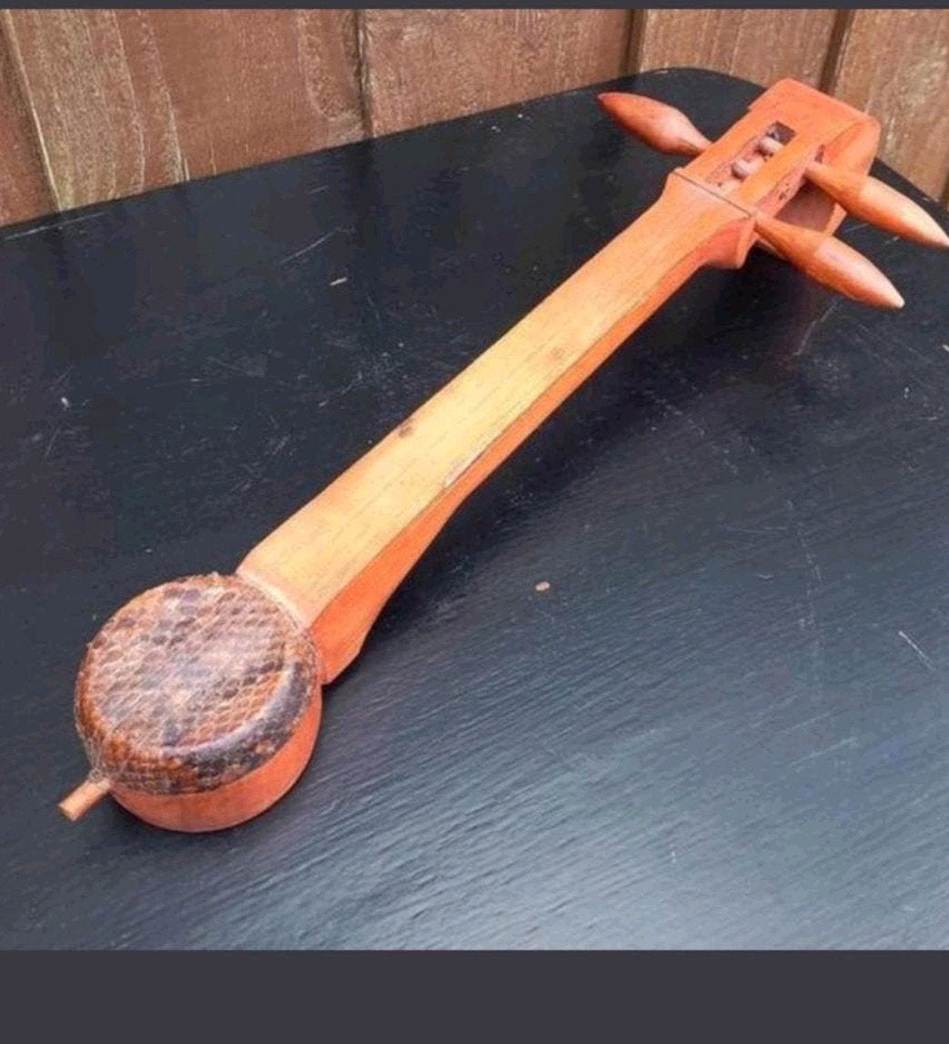 Uniek 2-snarig instrument met slangenhuid (50 cm), Ophalen of Verzenden