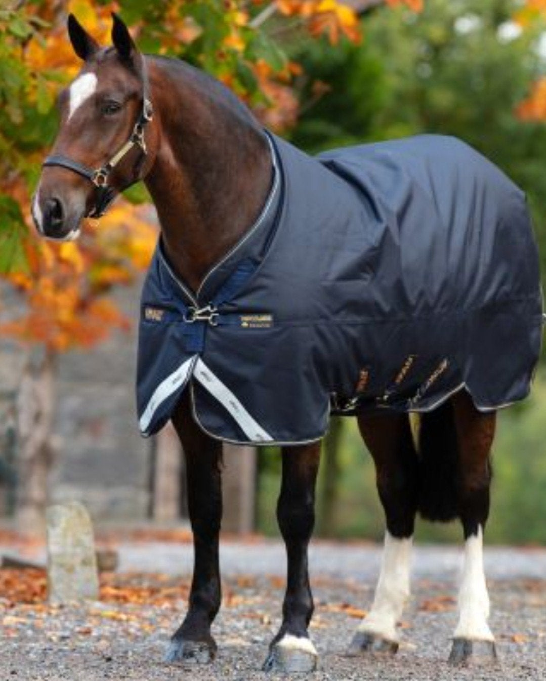 Horseware Amigo Bravo XL, Ophalen of Verzenden