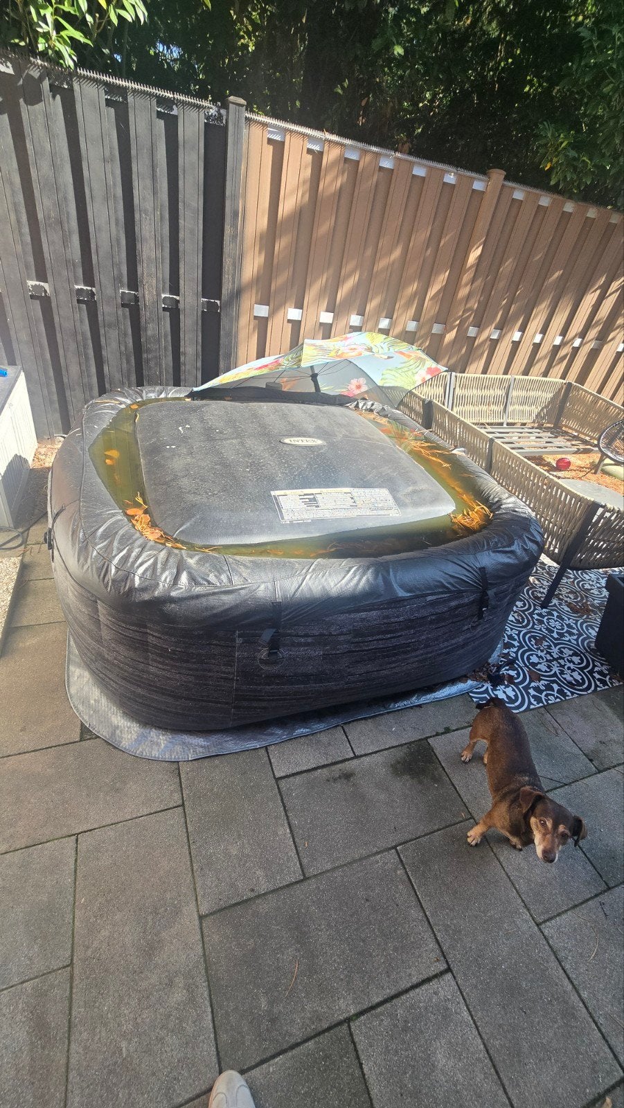 Intex PureSpa Greystone Deluxe opblaasbare jacuzzi, Ophalen, Gebruikt, Opblaaszwembad, 200 tot 400 cm