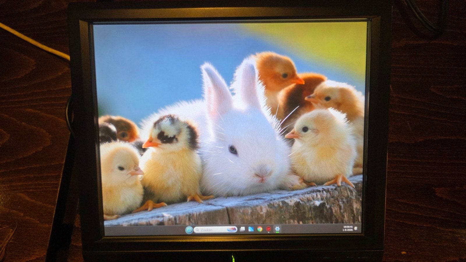 Iiyama ProLite T1730S Touchscreen Monitor, Computers en Software, Monitoren, Gebruikt, Iiyama, Touchscreen, Ophalen of Verzenden