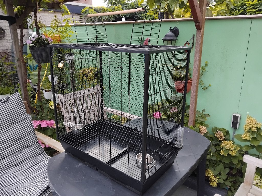 Vogelkooi Primo 60 Savic, Ophalen, Gebruikt, Metaal, Vogelkooi