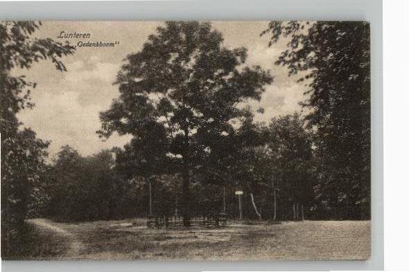 Lunteren Gedenkboom, Ophalen of Verzenden, Voor 1920, Ongelopen, Gelderland