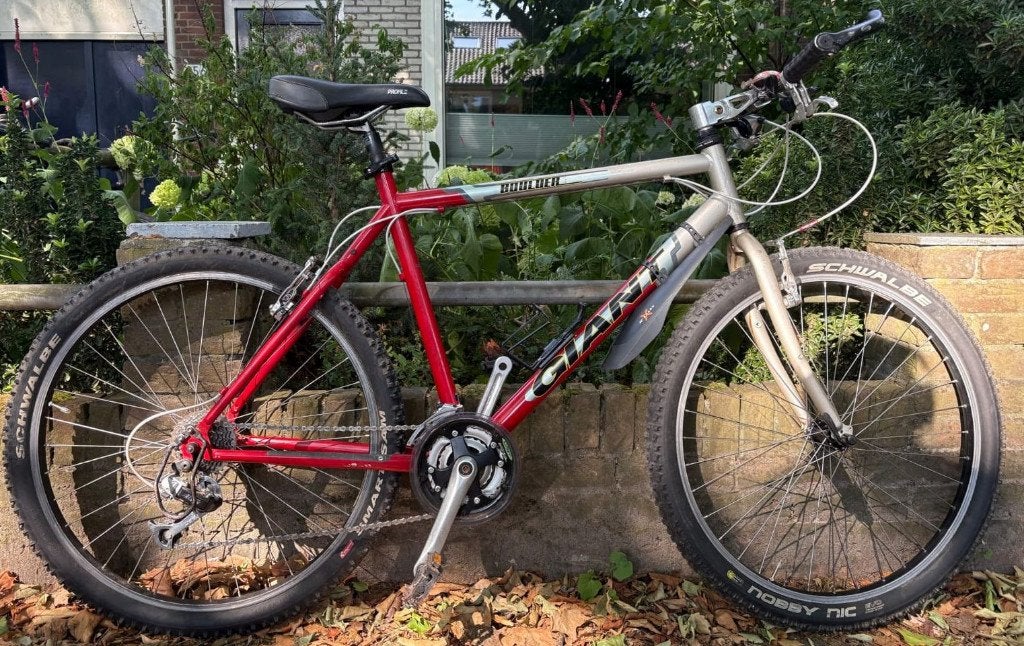 Giant Boulder Mountainbike (21 inch frame), Ophalen, Gebruikt, Heren, Giant