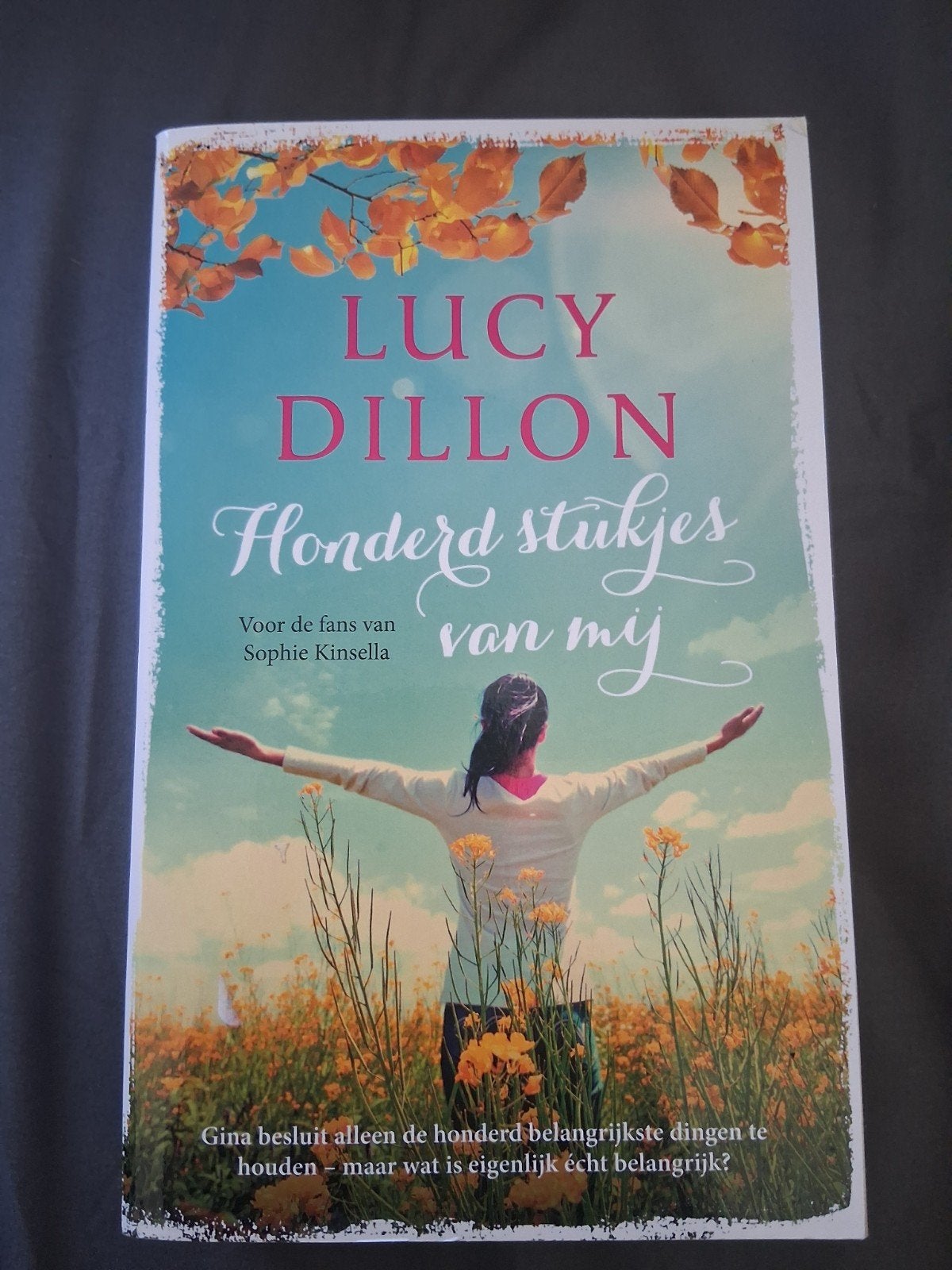 Lucy Dillon - Honderd stukjes van mij, Ophalen of Verzenden, Zo goed als nieuw, Lucy Dillon