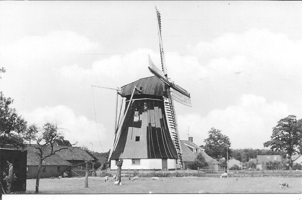 Oude ansichtkaart Korenmolen "Albertina" Noordsleen 1975, Ophalen of Verzenden, 1960 tot 1980, Ongelopen, Drenthe
